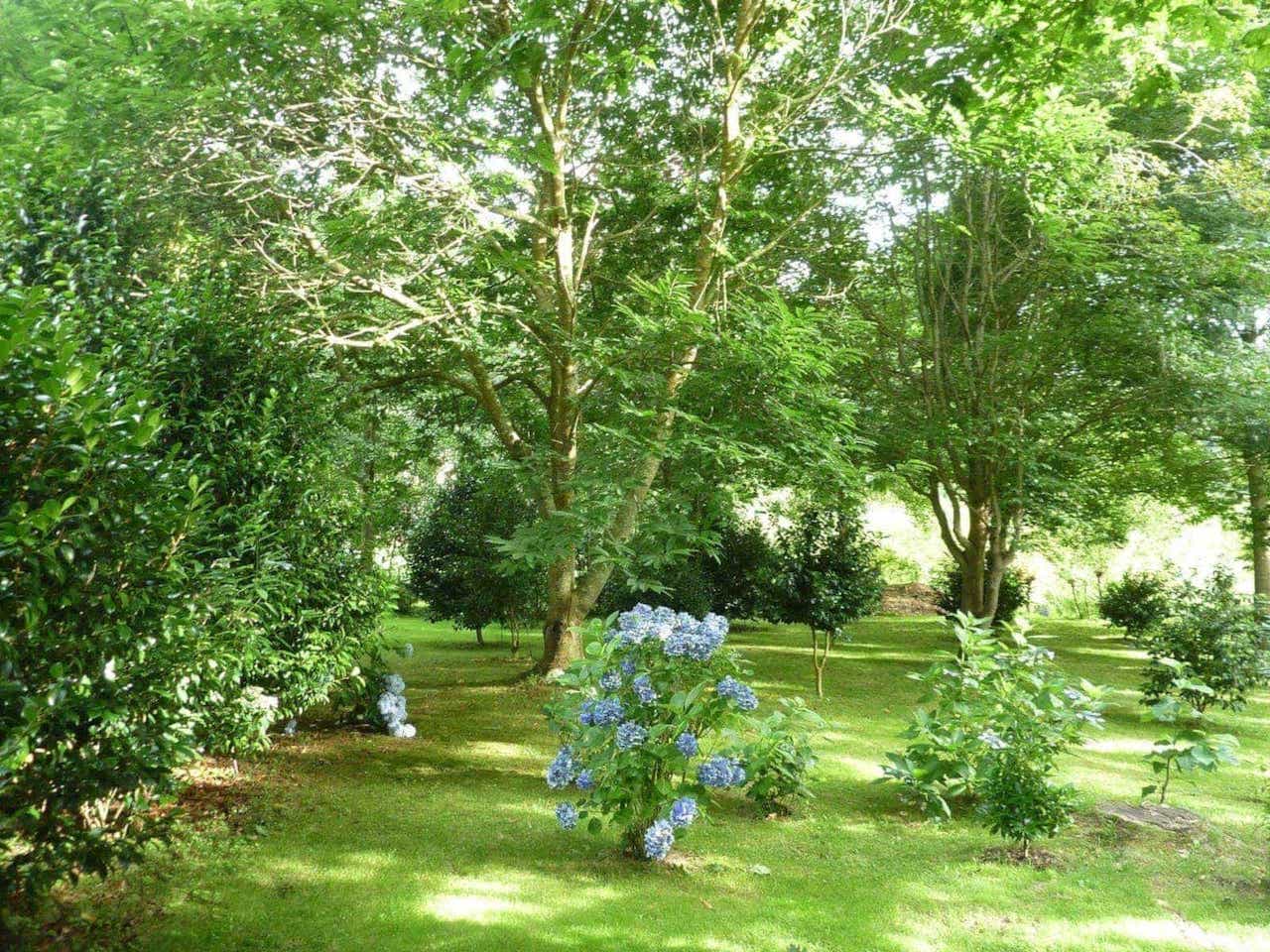 Green trees in Espazo Caritel garden