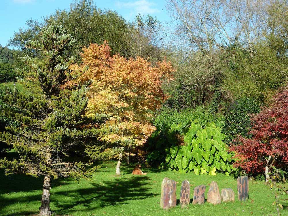 Japanese garden, a part of Espazo Caritel garden
